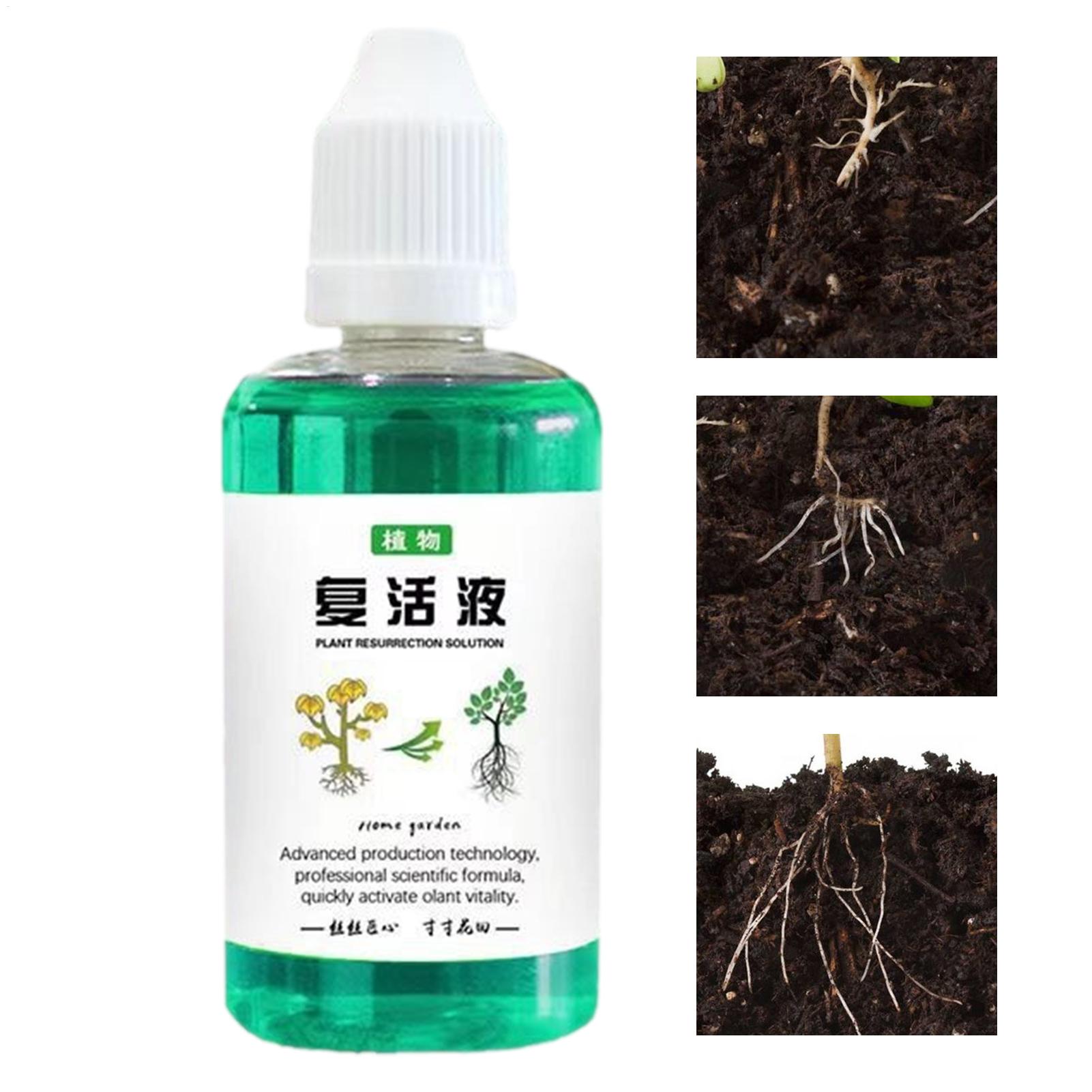 Root Stimulator Liquid - Bitkiler İçin Kök Stimülatörü 50ml Bitki