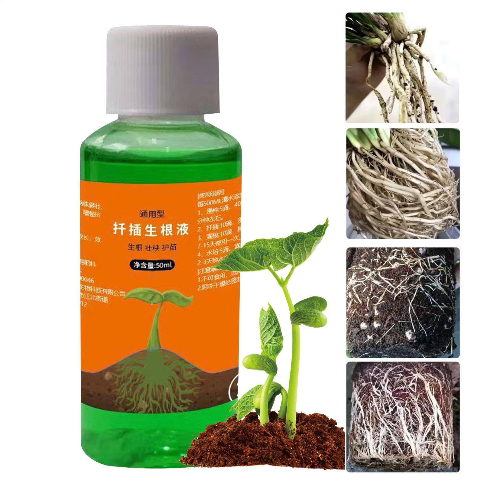 Root Stimulator Liquid - Bitki Kesimleri için Yüksek Verimli Kök
