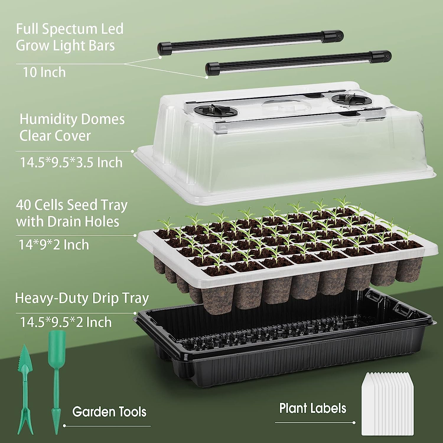 【En İyi】1 Set, 2 Uzun Şeritli  - Humidity Dome Kit incelemesi ve fiyatı
