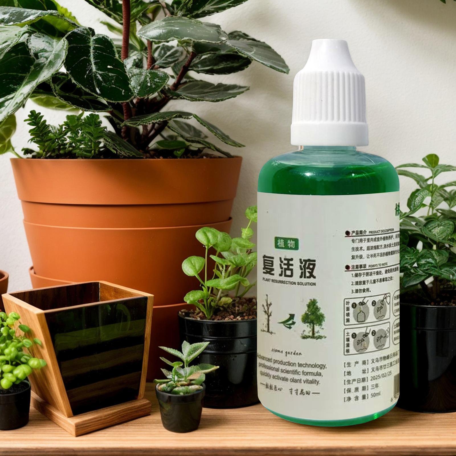 Bitkiler için Kök Stimülatörü  - Root Stimulator Liquid incelemesi ve fiyatı