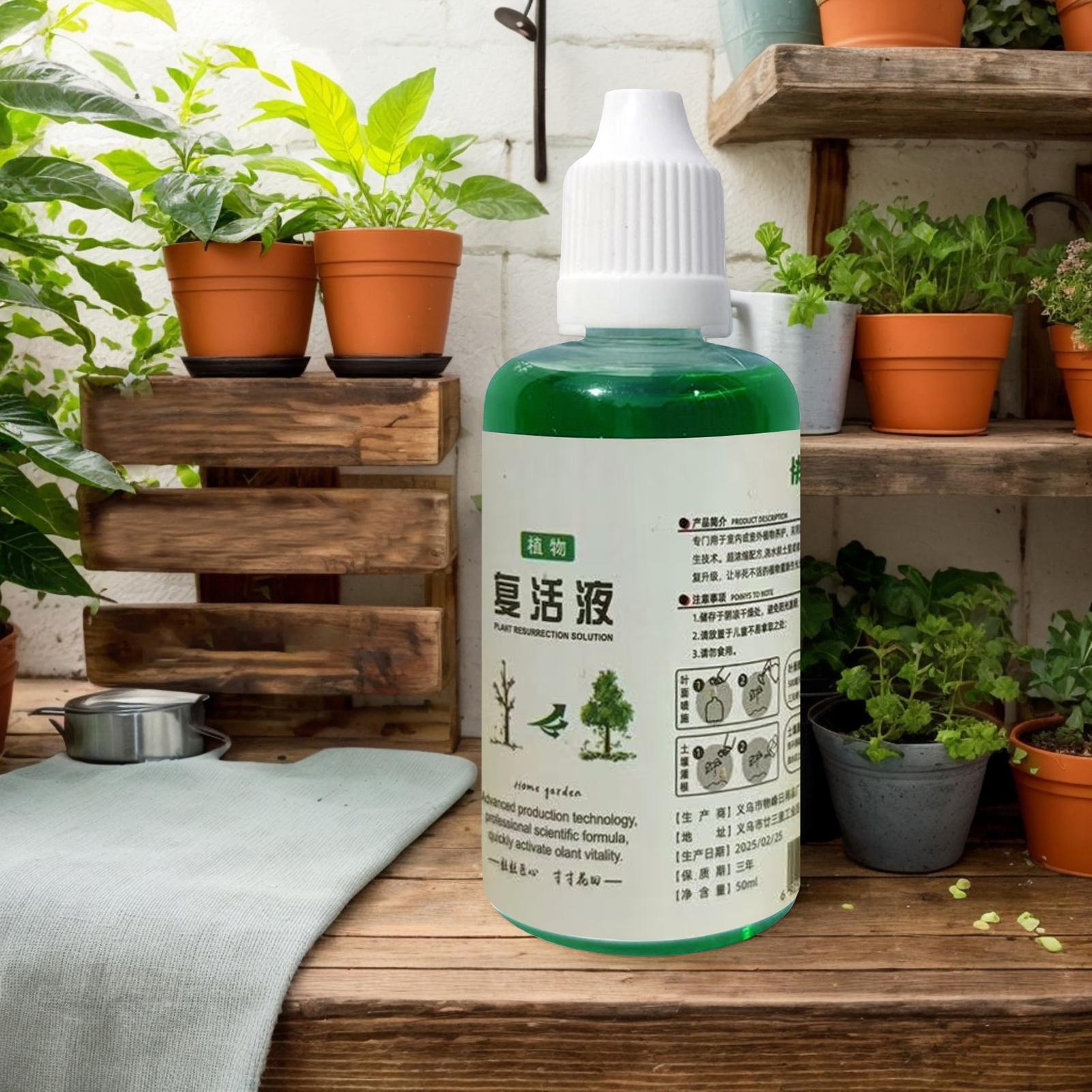 Bitkiler için Kök Stimülatörü  - Root Stimulator Liquid incelemesi ve fiyatı