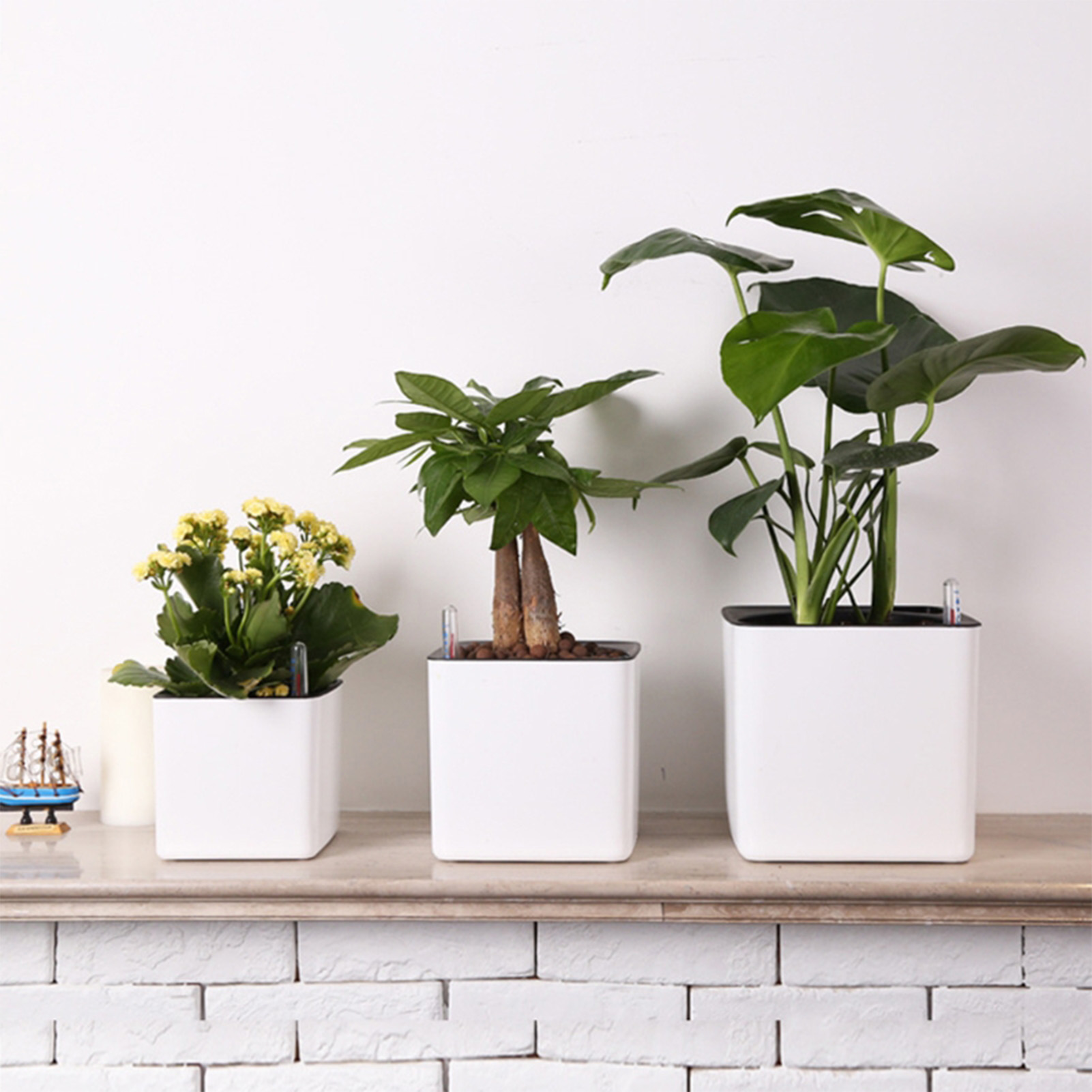 3 boyutu Tembel saksı Yeşil Bi - Self Watering Insert incelemesi ve fiyatı