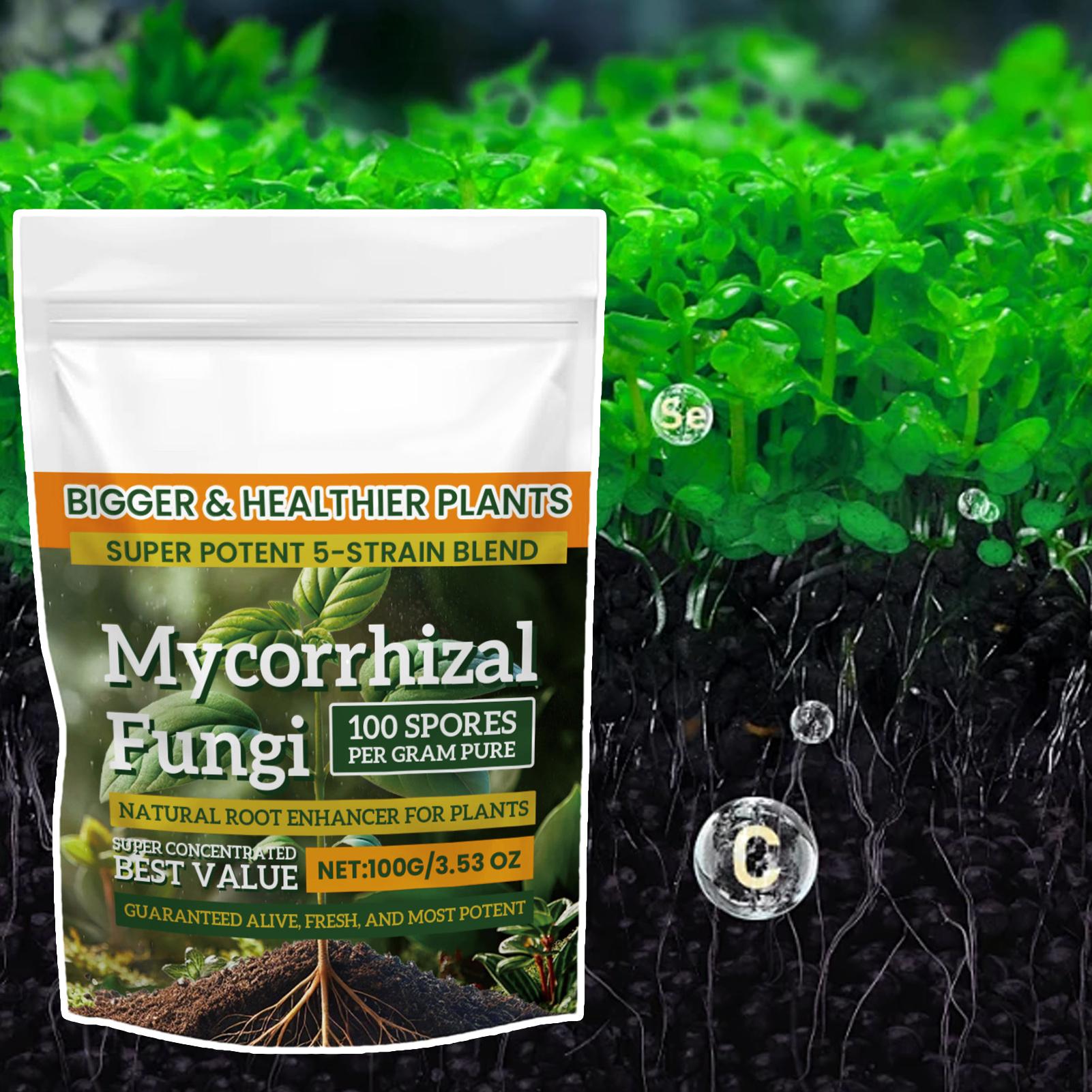 Yeni Bitki Besin Tozu 100g Bit - Rooting Hormone Powder incelemesi ve fiyatı