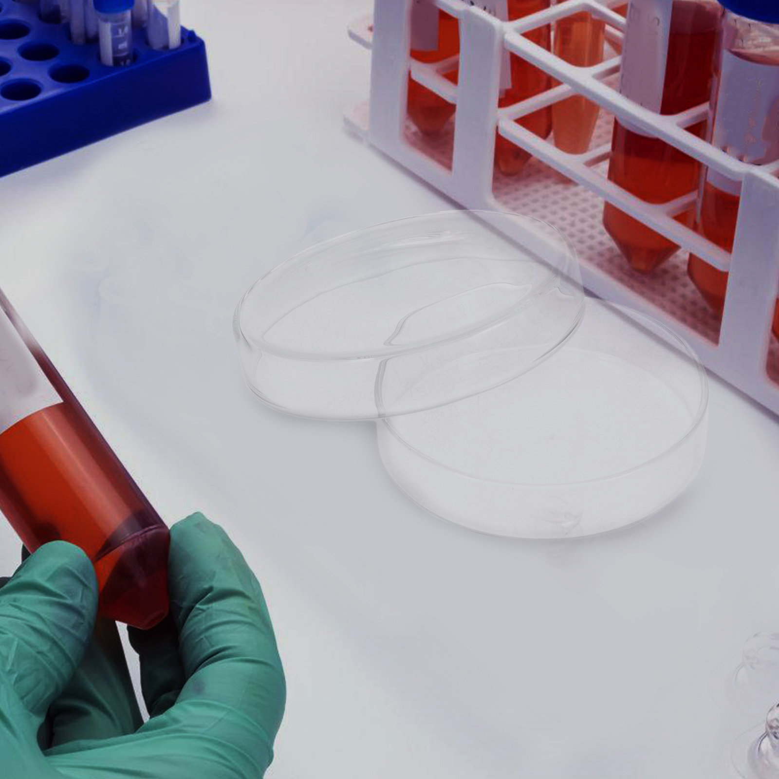 Yüksek Borosilikat Cam Petri K - Agar Tissue Culture incelemesi ve fiyatı