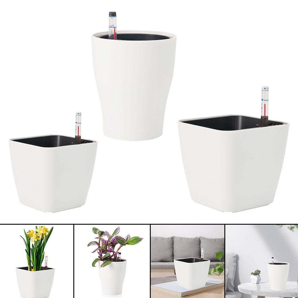 Kendi Kendine Sulayan Saksılar - Self Watering Insert incelemesi ve fiyatı