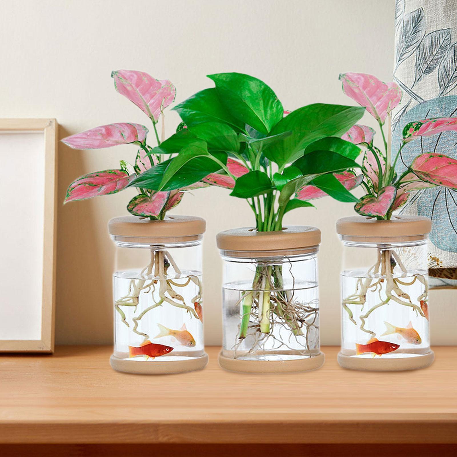 3 Adet Topraksız Çiçek Vazolar - Propagation Station Vase incelemesi ve fiyatı