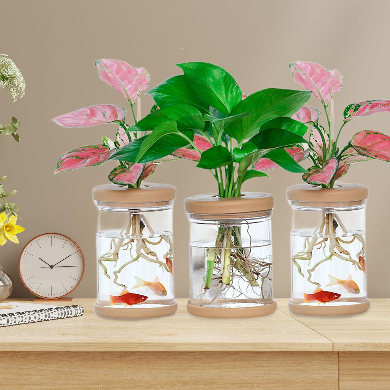 3 Adet Topraksız Çiçek Vazolar - Propagation Station Vase incelemesi ve fiyatı