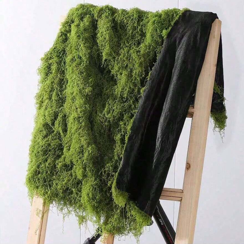 1*1 m Sahte Yosun DIY El Sanat - Sphagnum Moss Dry incelemesi ve fiyatı