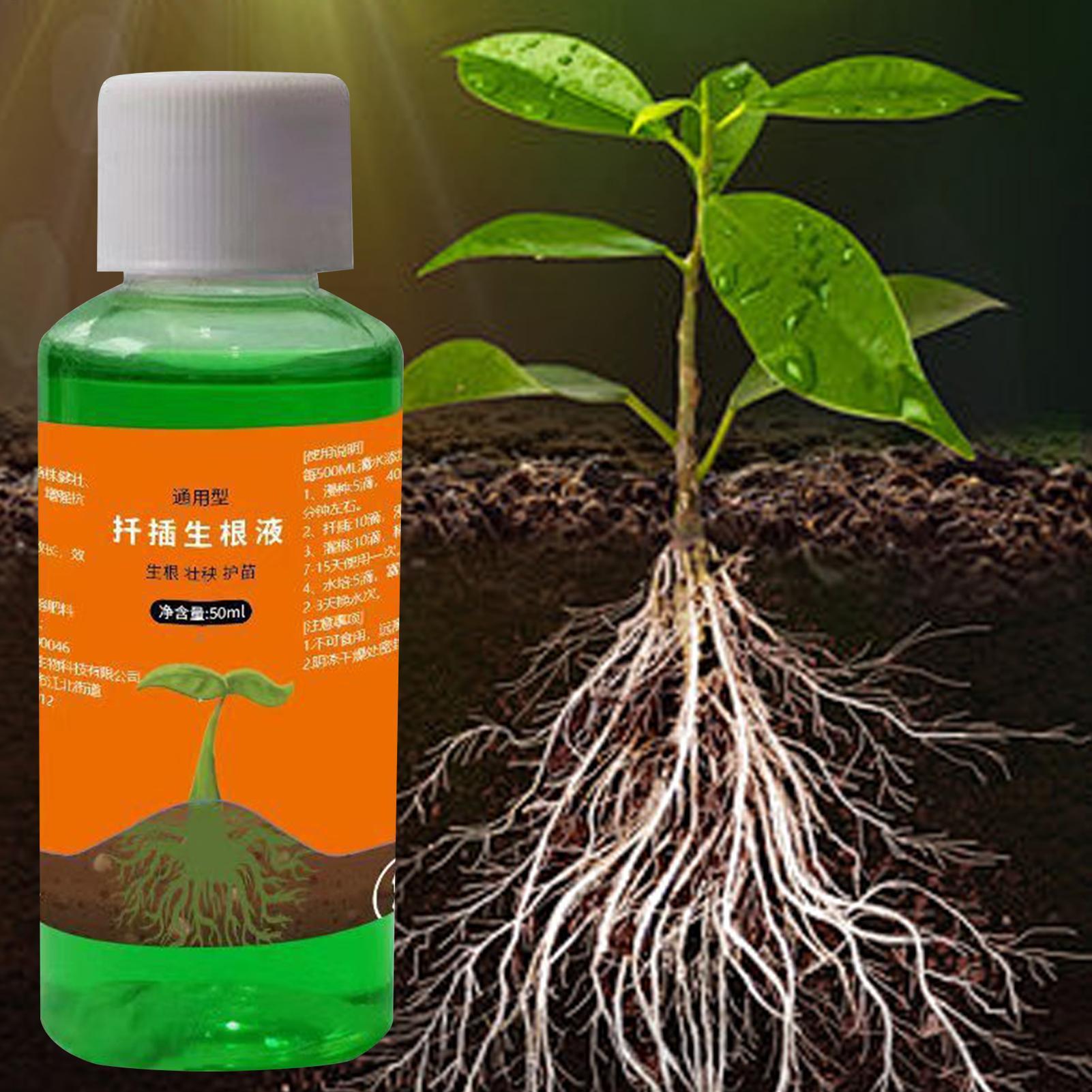 50ml Fide Yetiştirme Besin Sol - Root Stimulator Liquid incelemesi ve fiyatı
