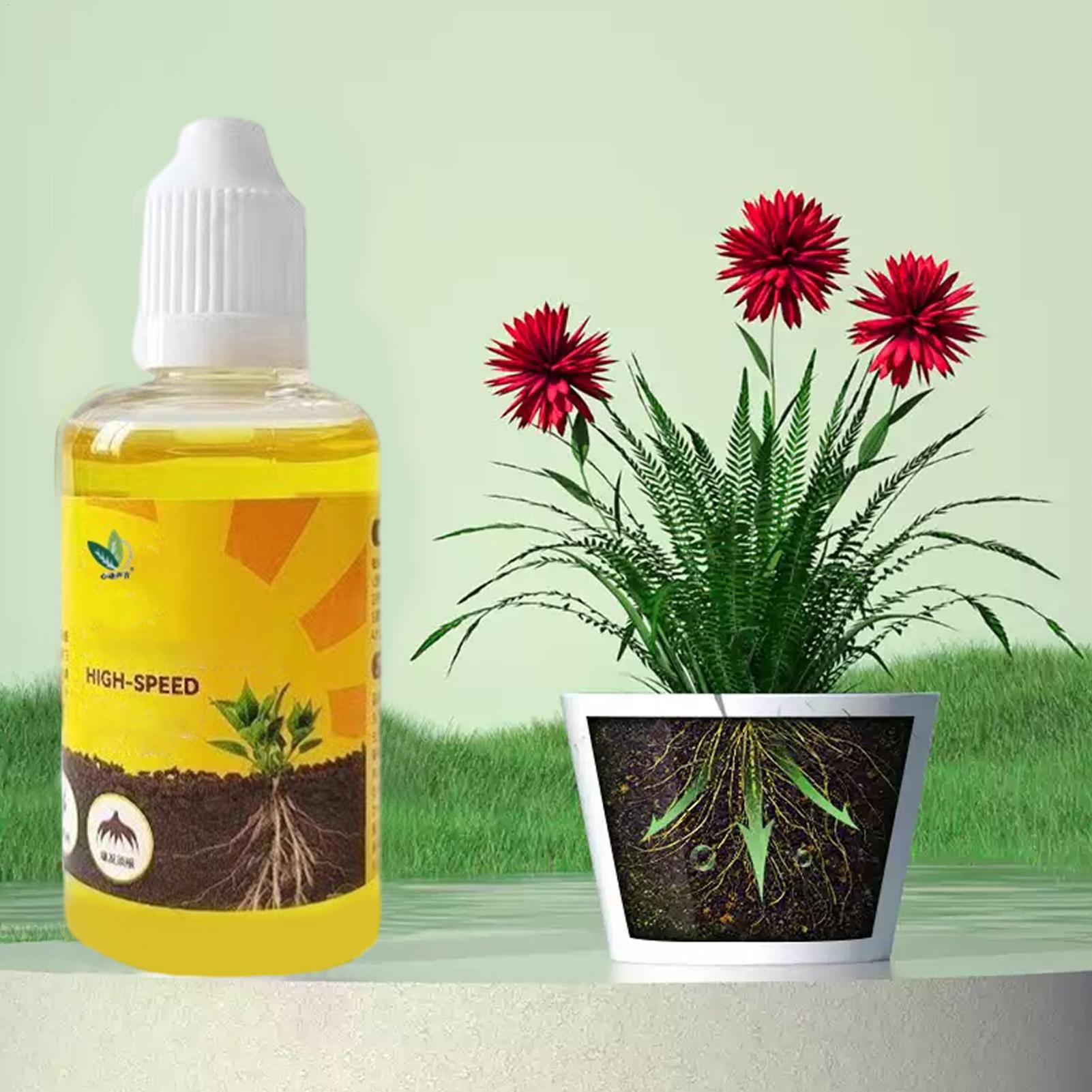 Bitki Hızlı Köklenme Çözümü 50 - Root Stimulator Liquid incelemesi ve fiyatı