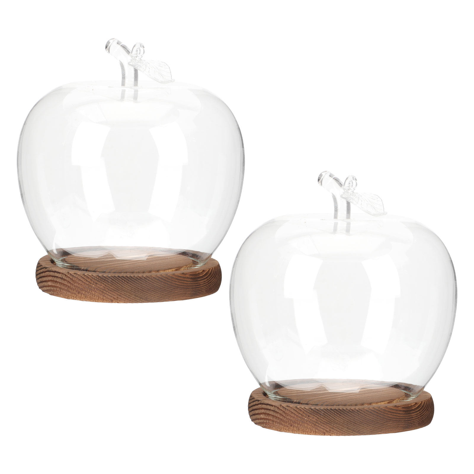 2 Adet Ahşap Tabanlı Şeffaf Ca - Plastic Dome Clear incelemesi ve fiyatı