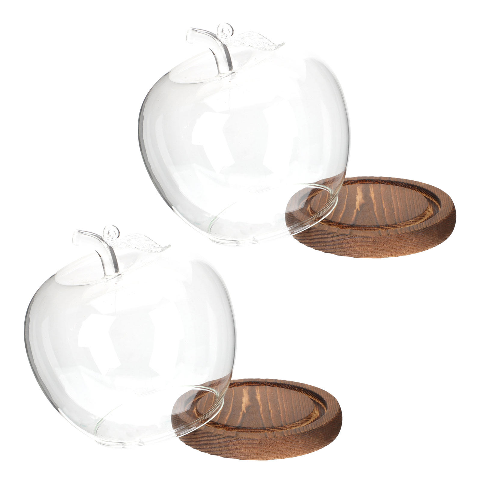2 Adet Ahşap Tabanlı Şeffaf Ca - Plastic Dome Clear incelemesi ve fiyatı
