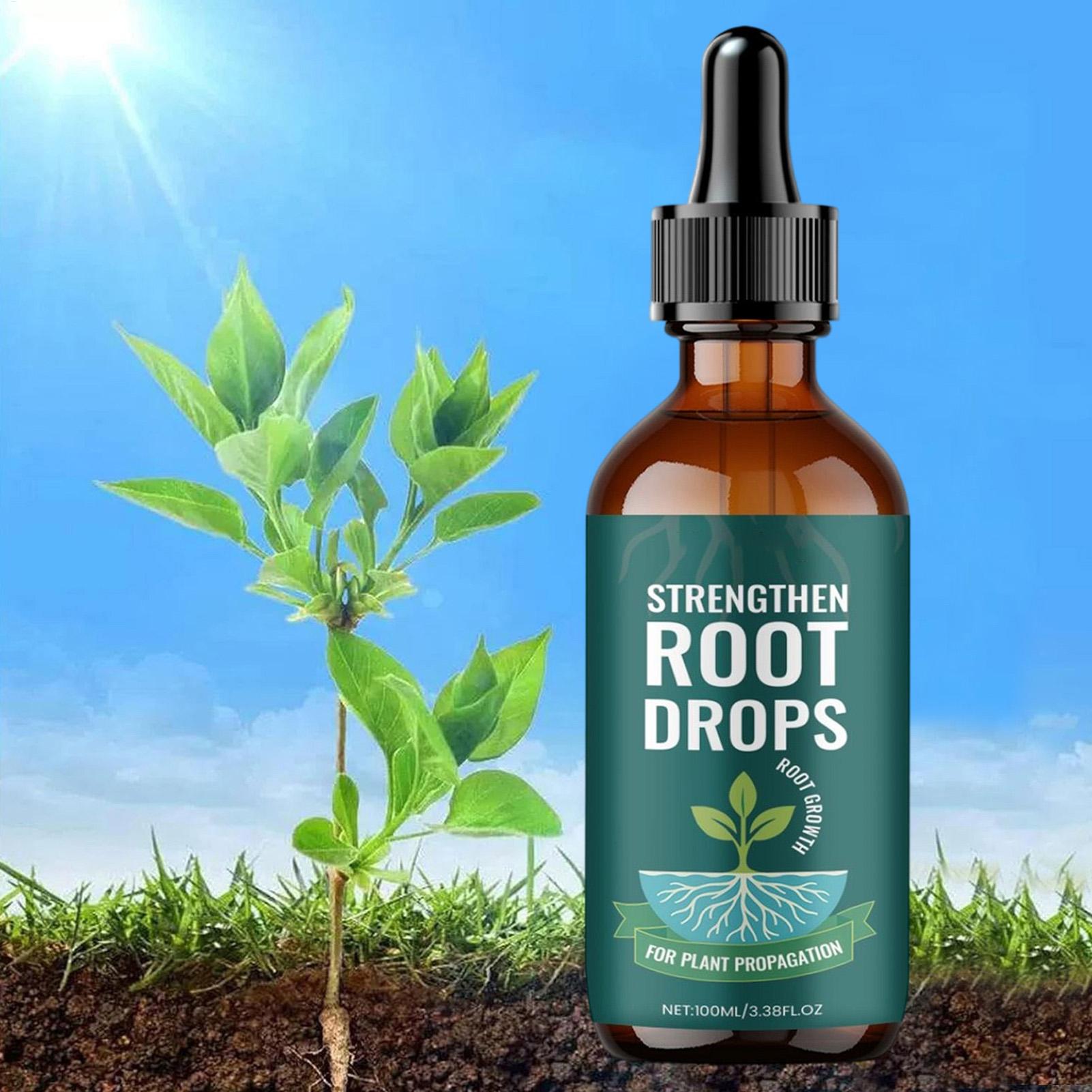 100ml Bitki Köklendirme Sıvı D - Root Stimulator Liquid incelemesi ve fiyatı